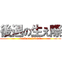 後退の生え際 (back on HAGE)