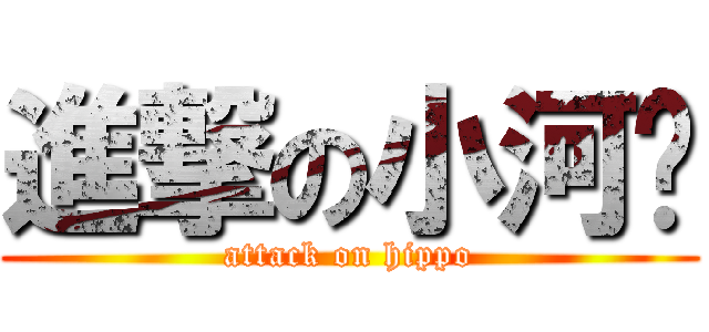進撃の小河马 (attack on hippo)
