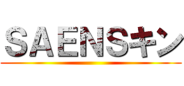 ＳＡＥＮＳキン ()