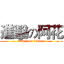 進擊の阿花 (attack on flower)