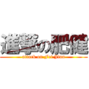 進撃の肥健 (attack on Fei Jian)