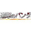 進撃のパンダ (～買い物好き～)