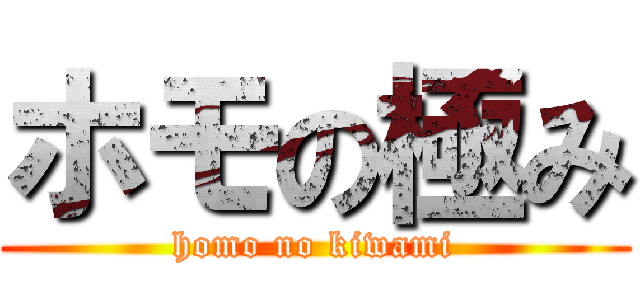 ホモの極み (homo no kiwami)