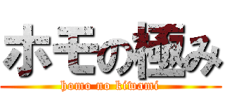 ホモの極み (homo no kiwami)