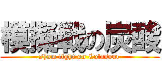 模擬戦の炭酸 (sham fight on Colasour)