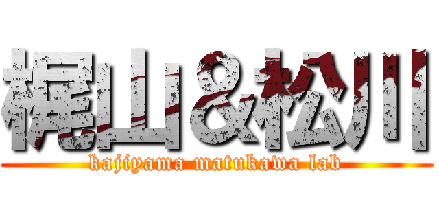 梶山＆松川 (kajiyama matukawa lab)