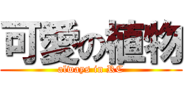 可愛の植物 (always in RC)