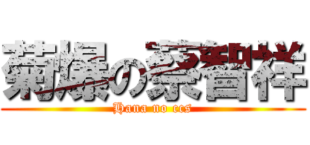 菊爆の蔡智祥 (Hana no ccs)