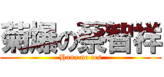 菊爆の蔡智祥 (Hana no ccs)