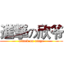 進撃の欣爷 (attack on xinye)