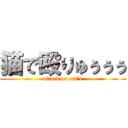 猫で殴りゅぅぅぅ (attack on cat\'s)