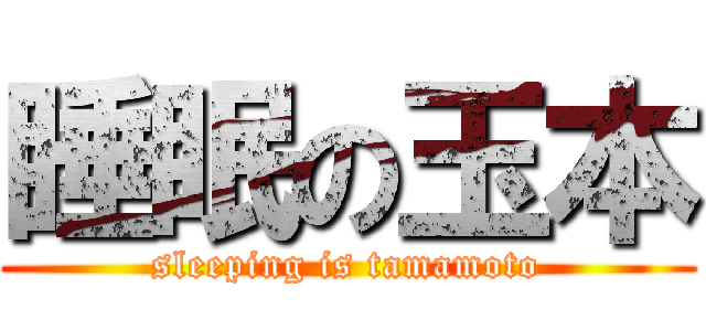 睡眠の玉本 (sleeping is tamamoto)