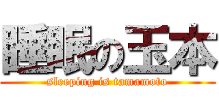 睡眠の玉本 (sleeping is tamamoto)