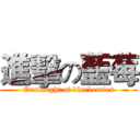 進擊の藍莓 (Onslaught of blueberries)