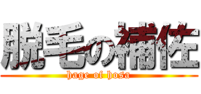 脱毛の補佐 (hage of hosa)