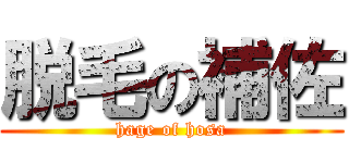 脱毛の補佐 (hage of hosa)