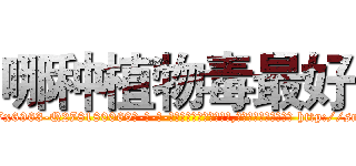 哪种植物毒最好 (哪种植物毒最好【电-186x2687x6963-Q278180069元-吉-药-业】我们做的是长期生意,靠的是老客户长期支持 http://sngk.net/QzPLF0
)