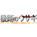 後衛のウサギ (attack on titan)