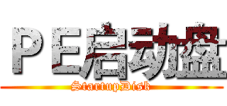 ＰＥ启动盘 (StartupDisk)