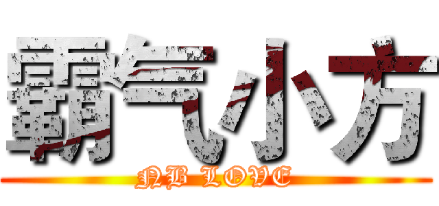 霸气小方 (NB LOVE)