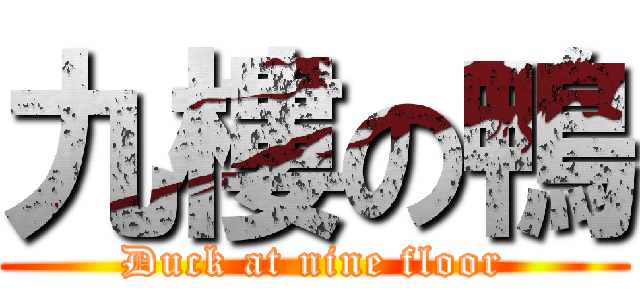 九樓の鴨 (Duck at nine floor)