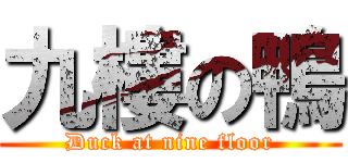 九樓の鴨 (Duck at nine floor)