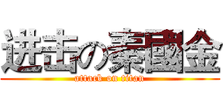 进击の秦國金 (attack on titan)