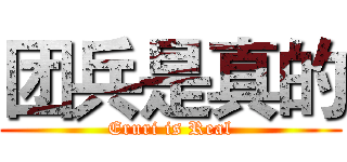 团兵是真的 (Eruri is Real)
