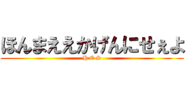 ほんまええかげんにせぇよ (H E S)