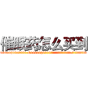 催眠药怎么买到 (催眠药怎么买到【电.话156x1318x7580-Q1991936399鑫宏药业】我们做的是长期生意,靠的是老客户长期支持
参考消息网2月20日报道 韩媒称，“剩女多、离婚率高的城市，房价一定会上涨。”这是中国经济学家金岩石2016年12月参加在上海举行的房地产相关论坛时说的话。
)