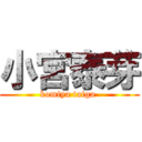 小宮泰芽 (komiya taiga )