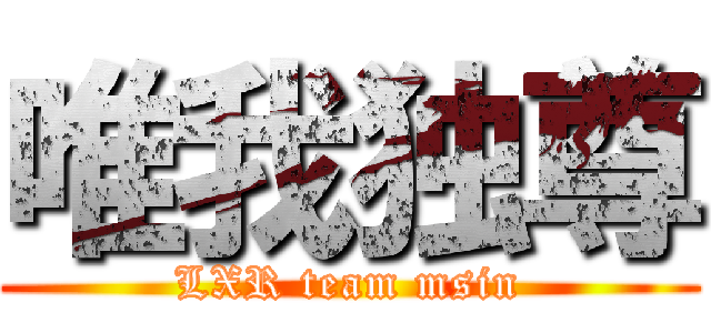 唯我独尊 (LXR team msin)