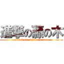 進撃の藤の木 (attack on  wisteria tree)