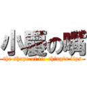小慶の嘴 (the shape of lil-ching\'s lips)