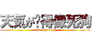 天気が热得像死狗 (like a hot dog)