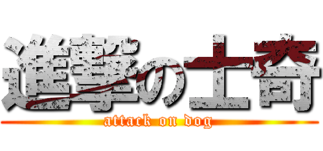 進撃の士奇 (attack on dog)