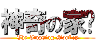 神奇の家瑋 (The Amasing Monkey)