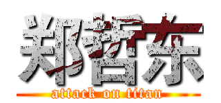 郑哲东 (attack on titan)