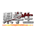 県学生 (kengakusei)