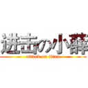 进击の小薛 (attack on titan)