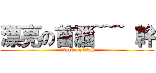 漂亮の首腦~~~ 幹 (attack on titan)