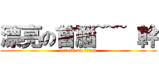 漂亮の首腦~~~ 幹 (attack on titan)