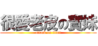 很愛老皮の寶妹 (attack on titan)