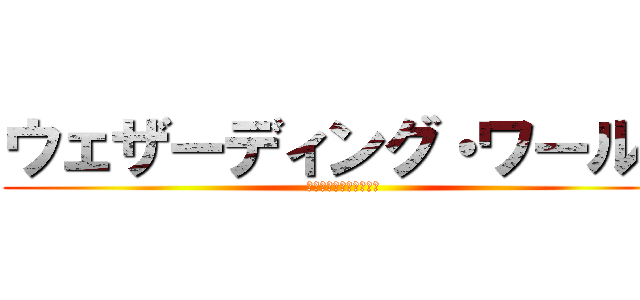 ウェザーディング・ワールド (オブ・ハリー・ポッター)