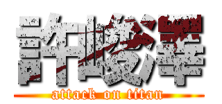 許峻澤 (attack on titan)