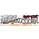 進撃の笠原 (kasahara on attack)