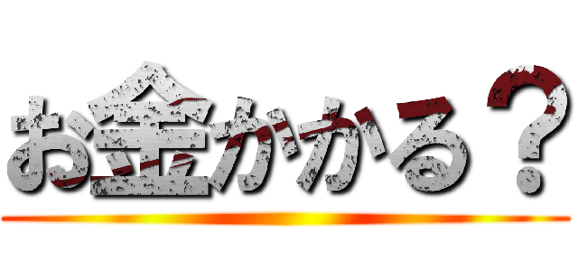 お金かかる？ ()