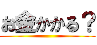お金かかる？ ()