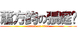 蕭方鈞の張庭瑄 (attack on titan)