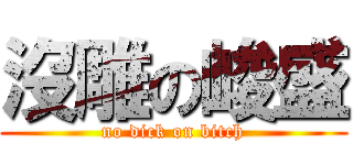 沒雕の峻盛 (no dick on bitch)